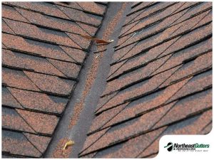 5280-1618204141-roof-flashing-on-a-shingle-roof-replacement.jpg