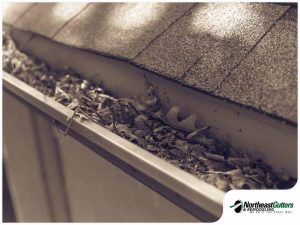 gallery_715-negutters1_1656910965.jpg