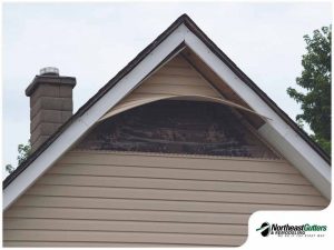 gallery_1015-negutters1_2_1662631787.jpg