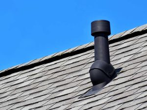 gallery_101-negutters1_2_1695373527.jpg