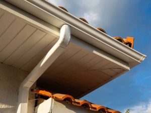 gallery_101-negutters3_1695373776.jpg