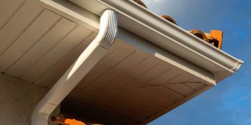 gallery_101-negutters3_1695373776.jpg