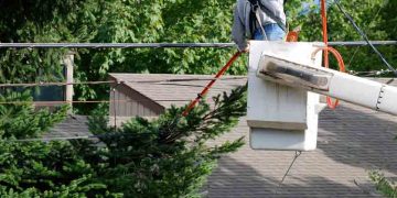 gallery_1015-negutters2_3_1697714152.jpg