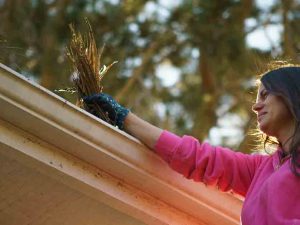 gallery_1015-negutters3_1697714270.jpg