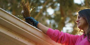 gallery_1015-negutters3_1697714270.jpg