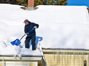 gallery_115-negutters2-4_1705904303.jpg