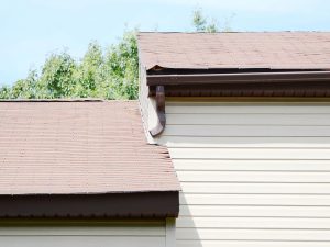 gallery_51-negutters3-2_1715341217.jpg