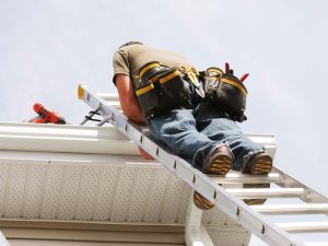gallery_815-negutters2-4_1722592297.jpg