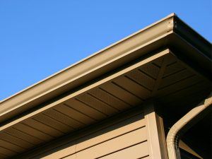 gallery_1115-negutters2-4_1732189886.jpg
