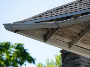 gallery_ctgutters3_1742759646.jpg